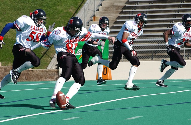 不断学习的 不断学习的