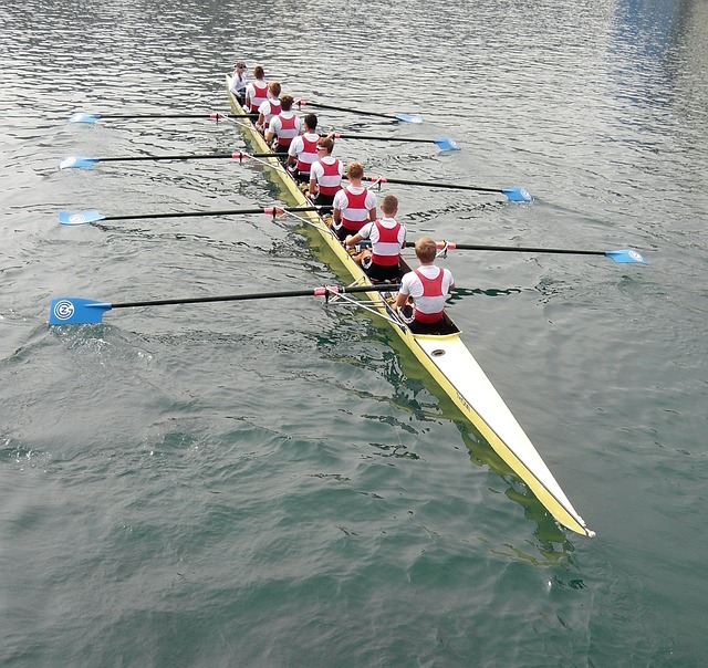 尼斯