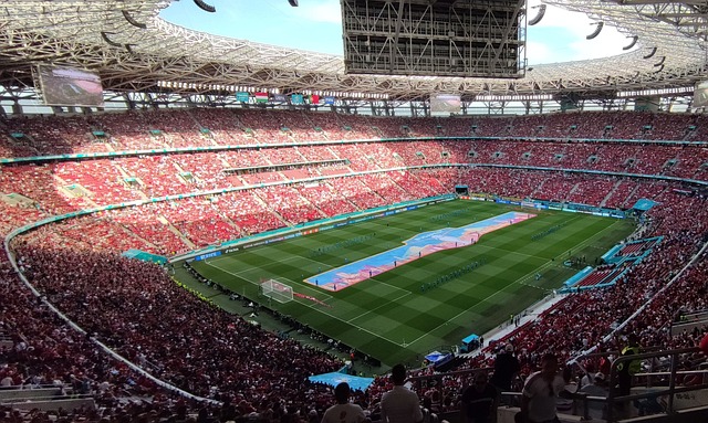 门将扮演的 门将扮演的