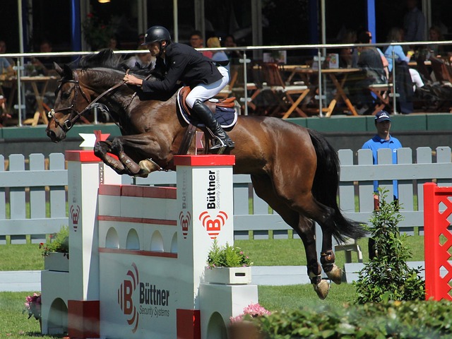 广东宏远的 广东宏远的