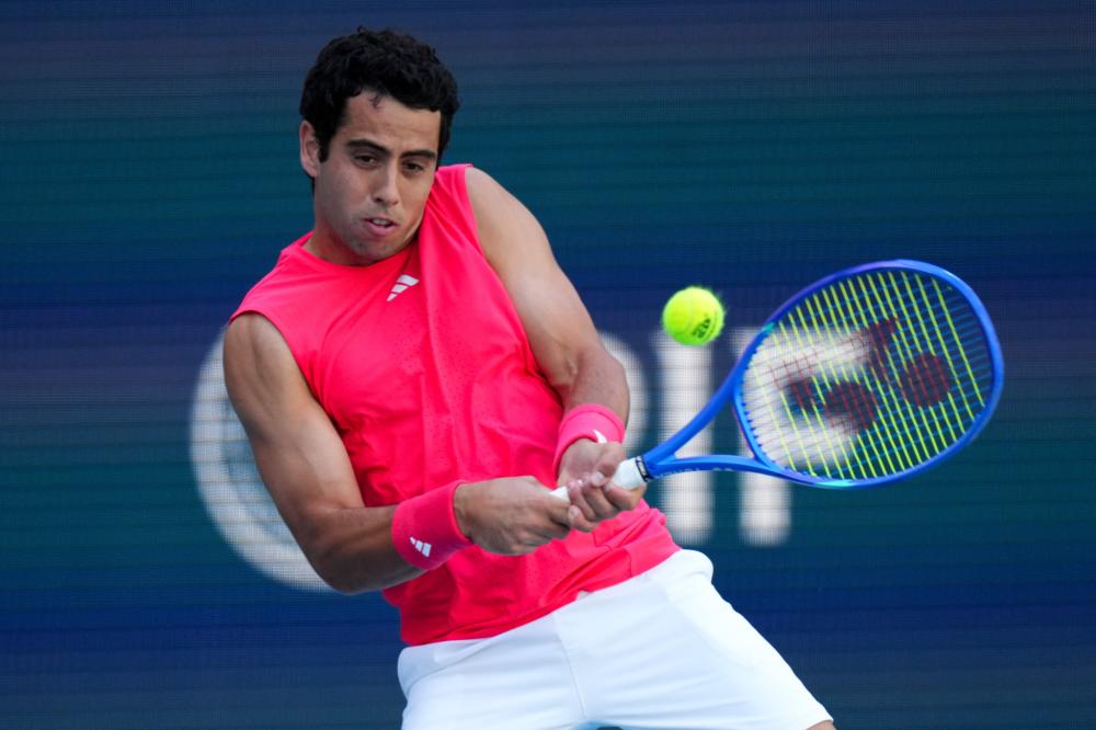 这些名字无 这些名字无