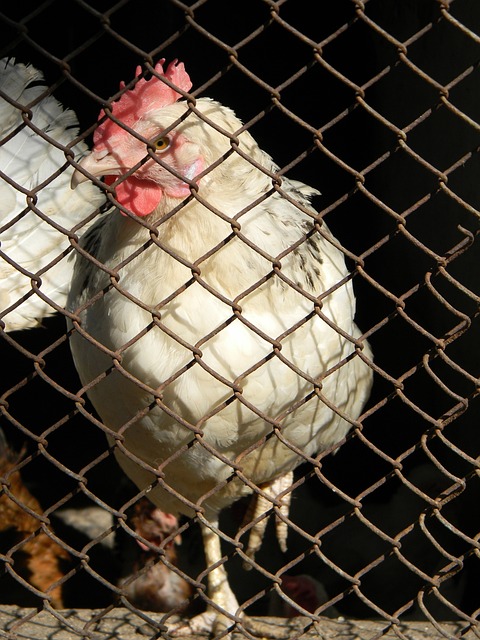 更确保了救 更确保了救