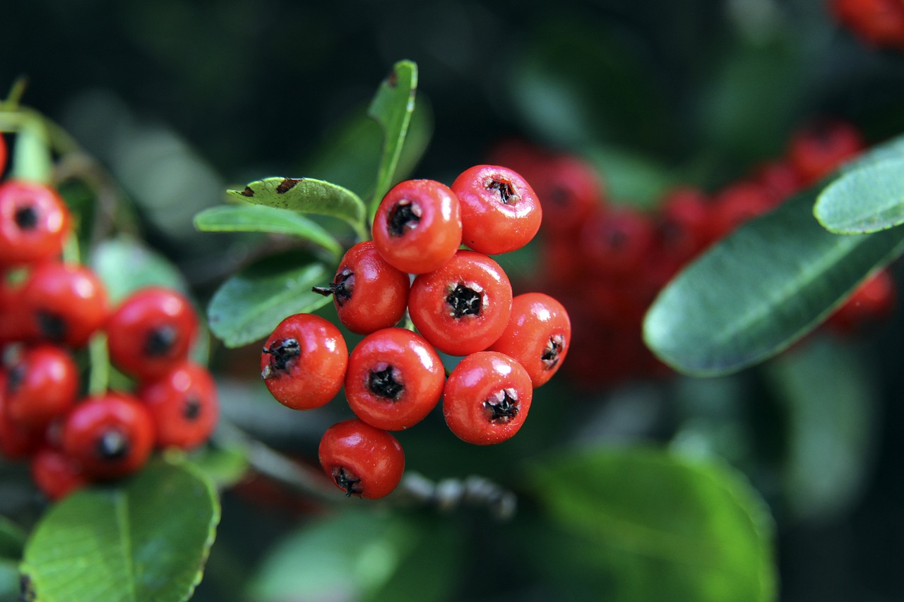 面对来自美 面对来自美