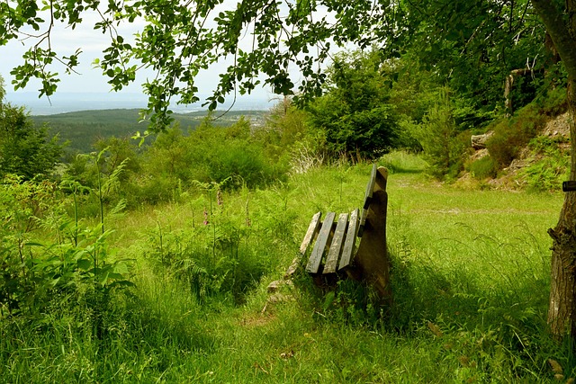 控球能力和 控球能力和